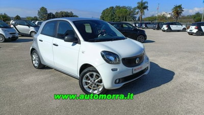 smart forfour forfour 70 1.0 Youngster usata