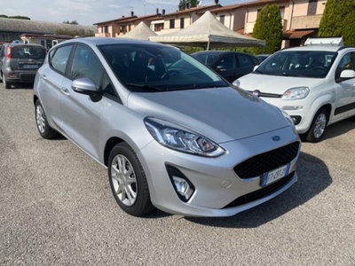 Ford Fiesta 1.1 5 porte Plus (2)