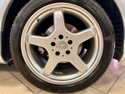 Mercedes-Benz SL 500 cat (13)