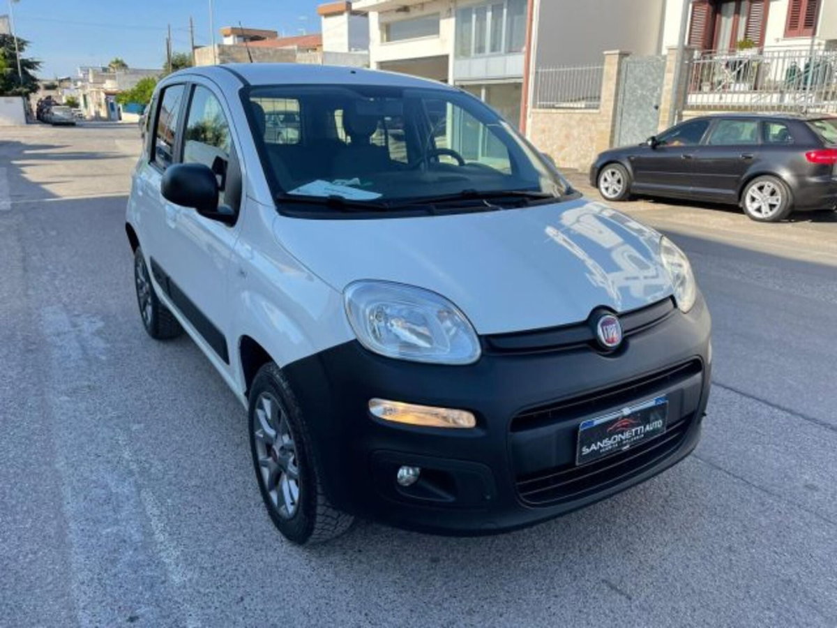 Fiat Panda 1.3 MJT 4x4 Pop Van 2 posti (3)