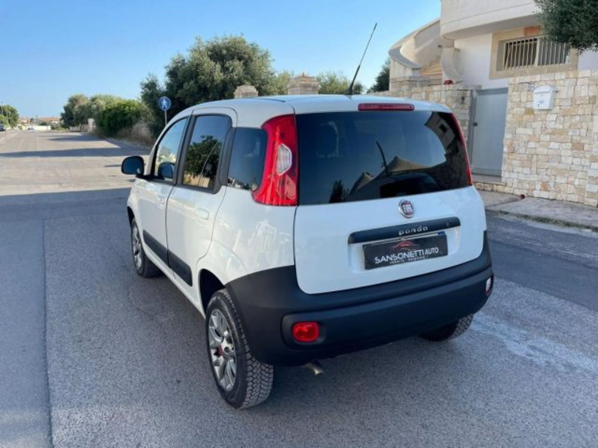 Fiat Panda 1.3 MJT 4x4 Pop Van 2 posti (5)