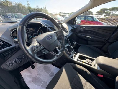 Ford Kuga 1.5 EcoBlue 120 CV 2WD ST-Line (5)