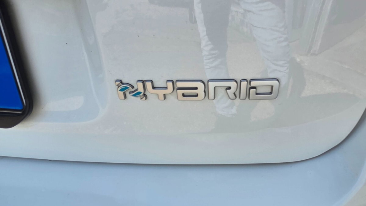 Fiat Panda 1.0 FireFly S&S Hybrid City Cross (15)