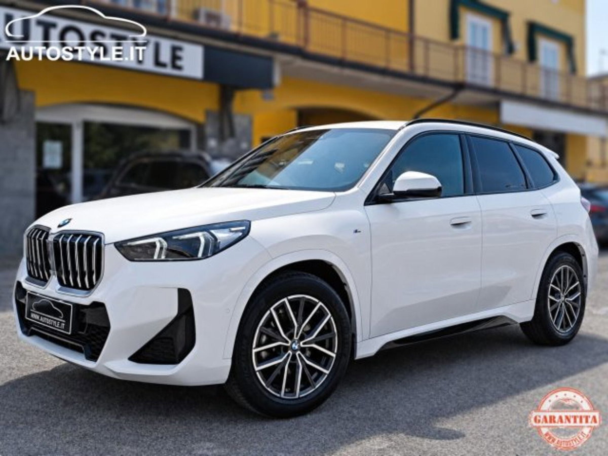 BMW X1 sdrive18i MSport auto (19)