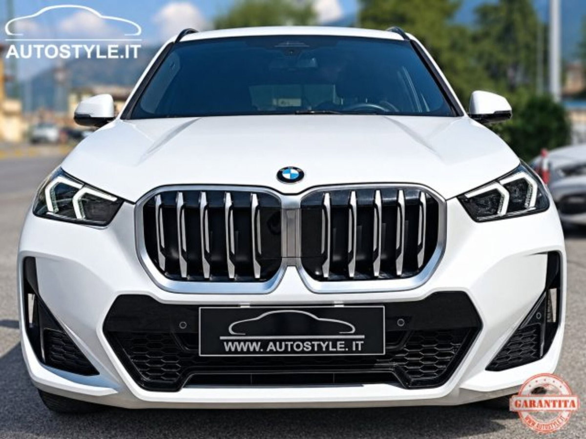 BMW X1 sdrive18i MSport auto (4)