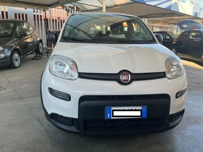 Fiat Panda 1.0 FireFly S&S Hybrid City Cross (2)