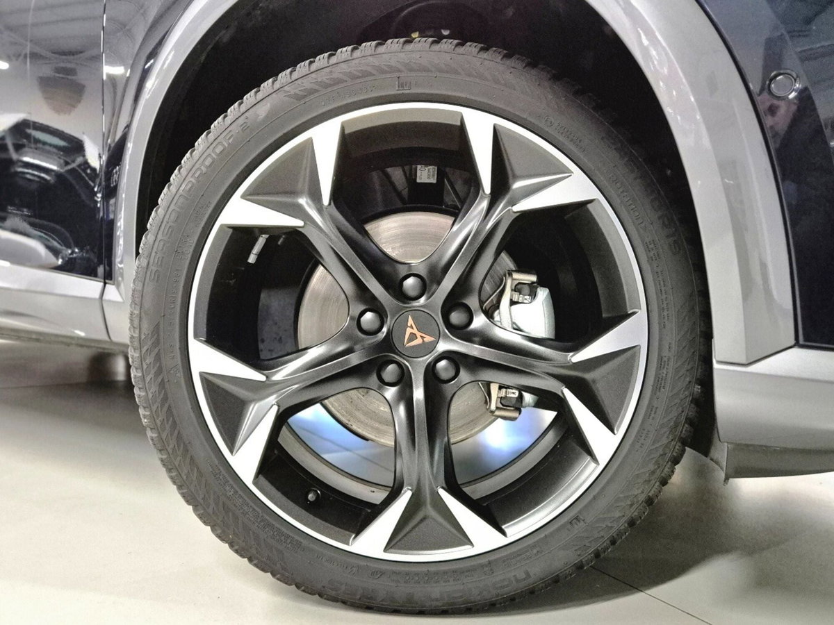 Cupra Formentor Formentor 1.5 TSI (15)