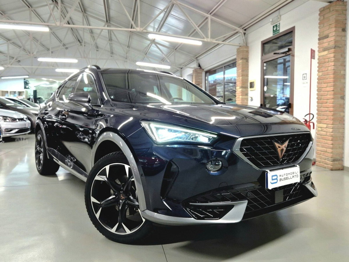 Cupra Formentor Formentor 1.5 TSI (20)