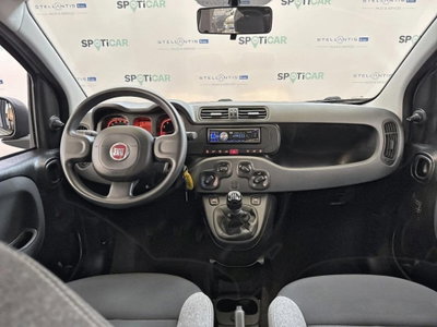 Fiat Panda 1.0 FireFly S&S Hybrid City Cross (10)