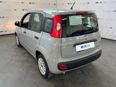 Fiat Panda 1.0 FireFly S&S Hybrid City Cross (3)