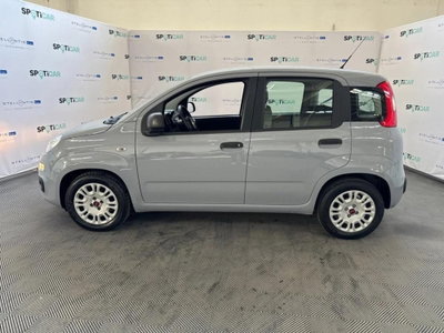 Fiat Panda 1.0 FireFly S&S Hybrid City Cross (5)