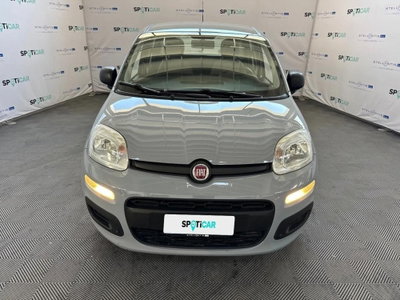 Fiat Panda 1.0 FireFly S&S Hybrid City Cross (6)