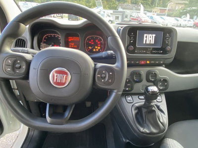 Fiat Panda 1.0 FireFly S&S Hybrid City Cross (19)