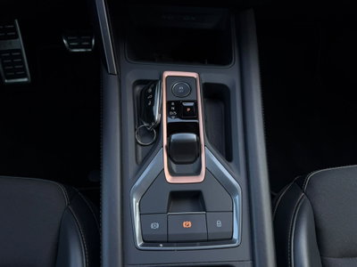 Cupra Formentor Formentor 2.0 tdi 4drive 150cv dsg (14)