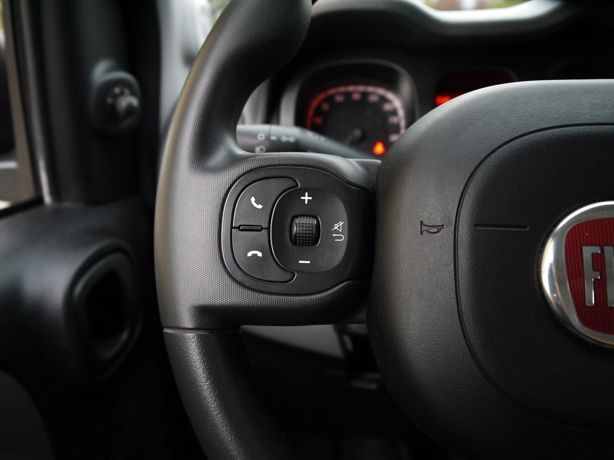 Fiat Panda 1.0 FireFly S&S Hybrid City Cross (13)