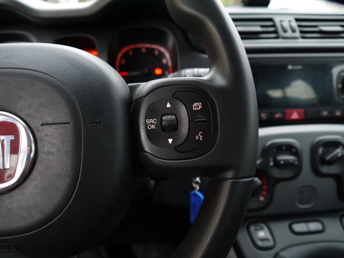 Fiat Panda 1.0 FireFly S&S Hybrid City Cross (14)
