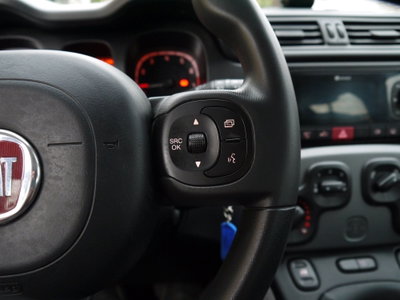 Fiat Panda 1.0 FireFly S&S Hybrid City Cross (14)