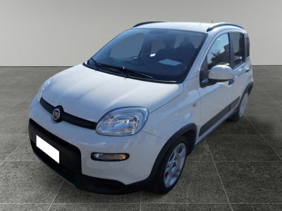 Fiat Panda 1.0 FireFly S&S Hybrid City Cross usata