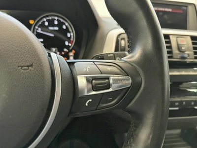 BMW Serie 1 5p. 116d 5p. Digital Edition (11)