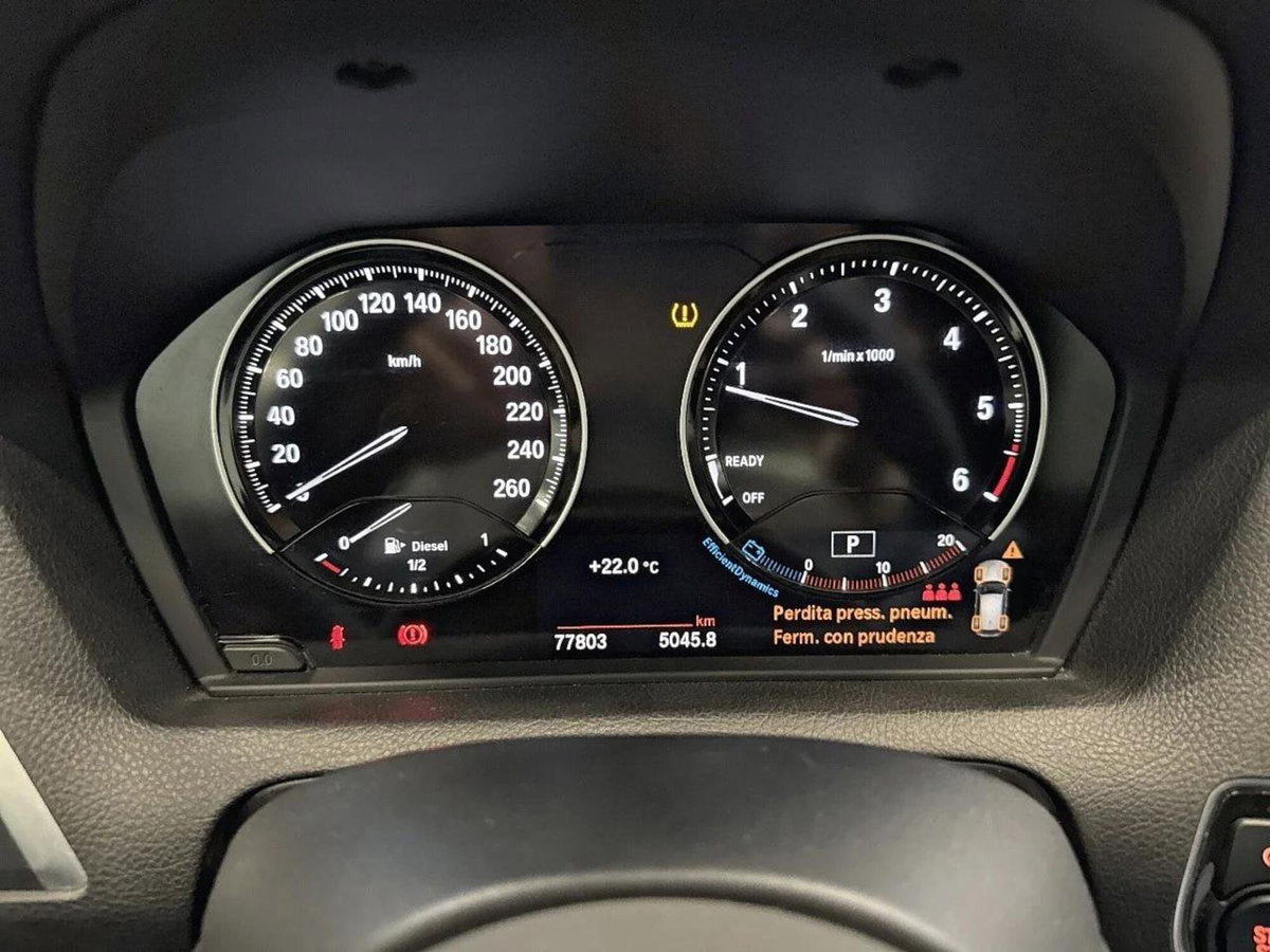BMW Serie 1 5p. 116d 5p. Digital Edition (18)