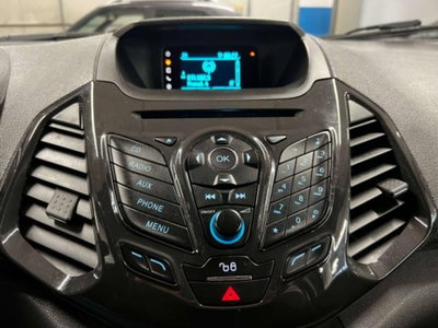 Ford EcoSport 1.0 EcoBoost 125 CV (12)