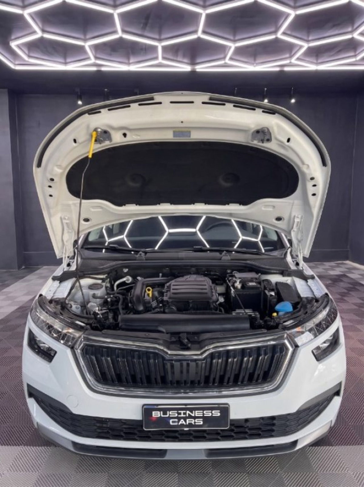 Skoda Kamiq 1.0 G-Tec Ambition (3)