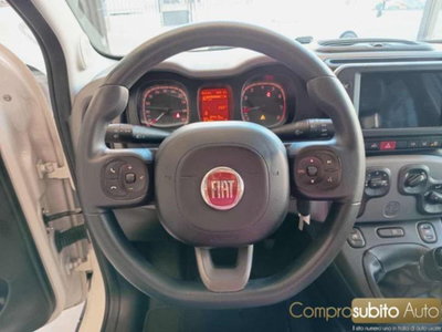 Fiat Panda 1.0 firefly hybrid s&s 70cv 5p.ti (17)