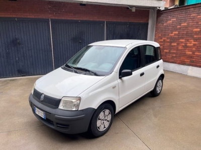 Fiat Panda 1.1 Actual usata