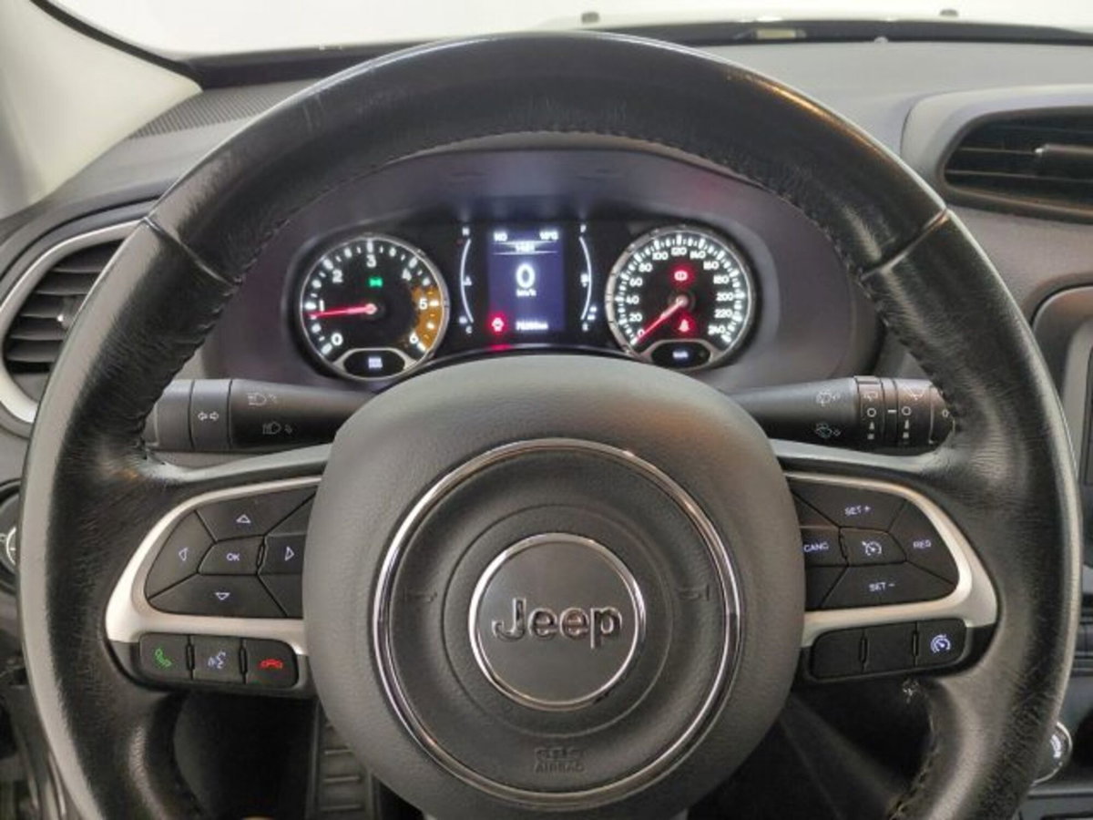 Jeep Renegade 1.6 Mjt 120 CV Longitude (10)