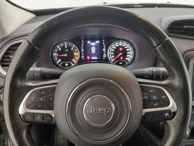 Jeep Renegade 1.6 Mjt 120 CV Longitude (10)
