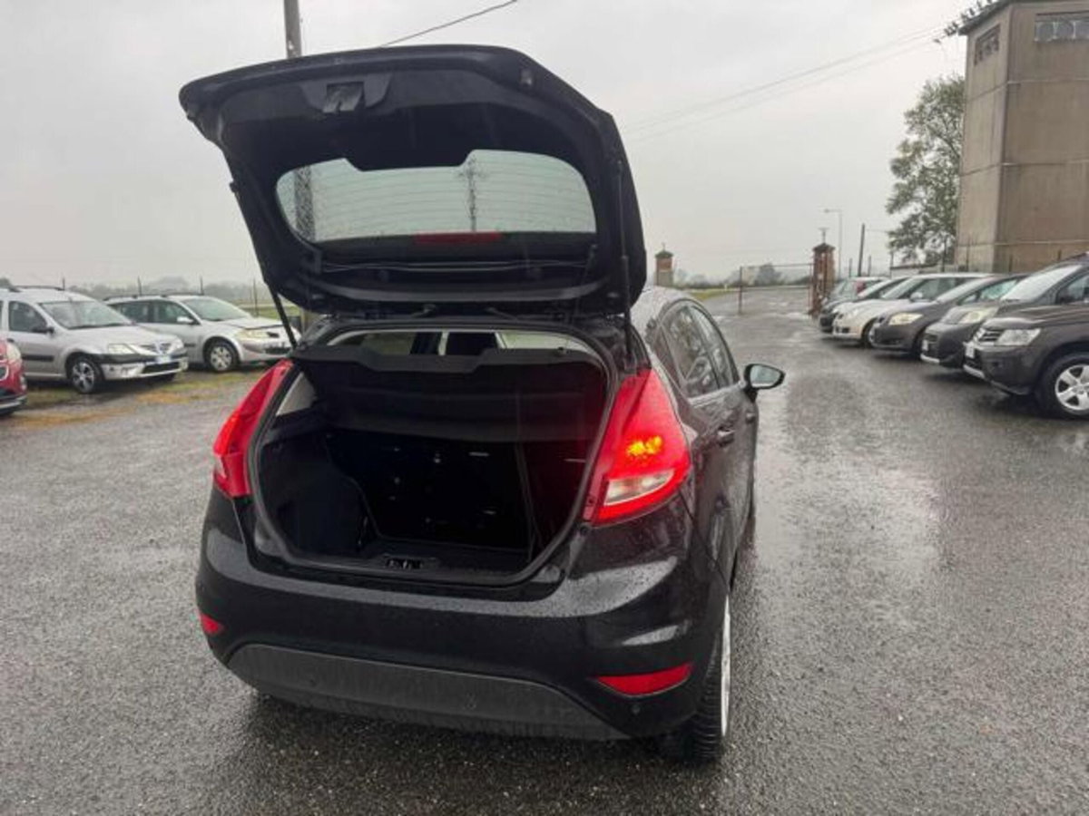 Ford Fiesta 1.4 TDCi 70CV 5 porte Titanium (9)