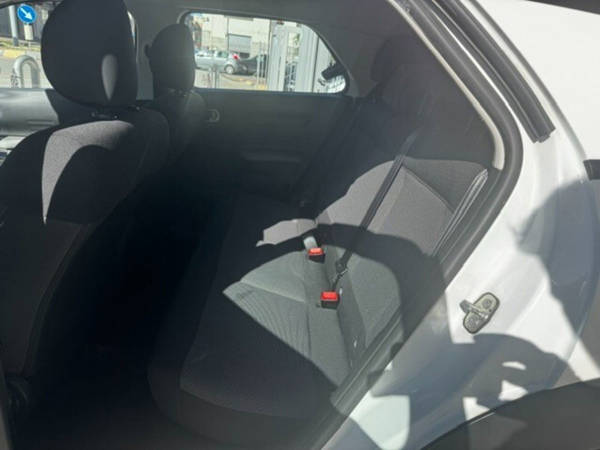 Citroen C4 Cactus BlueHDi 100 S&S Shine (13)