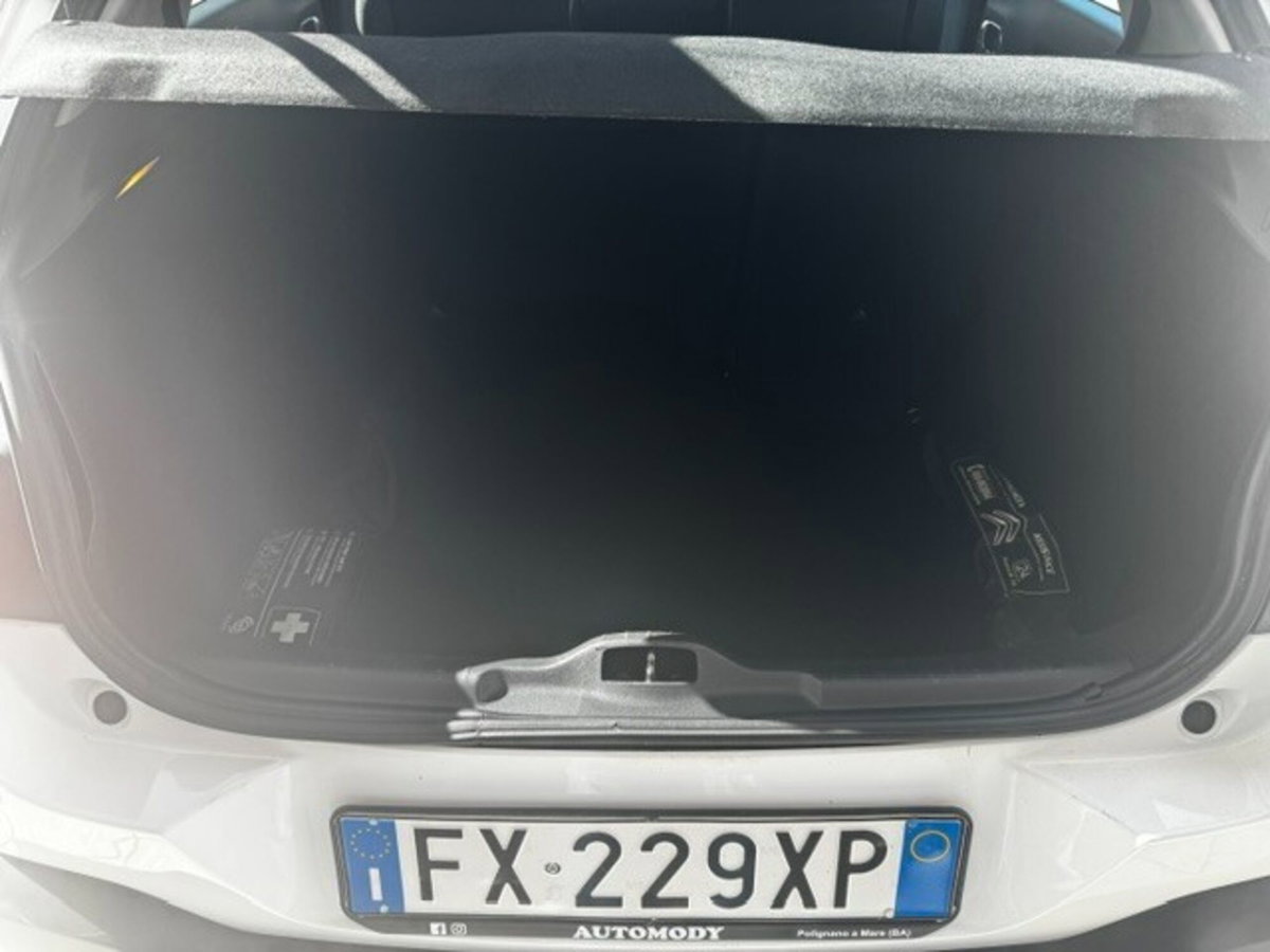 Citroen C4 Cactus BlueHDi 100 S&S Shine (16)