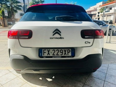 Citroen C4 Cactus BlueHDi 100 S&S Shine (6)