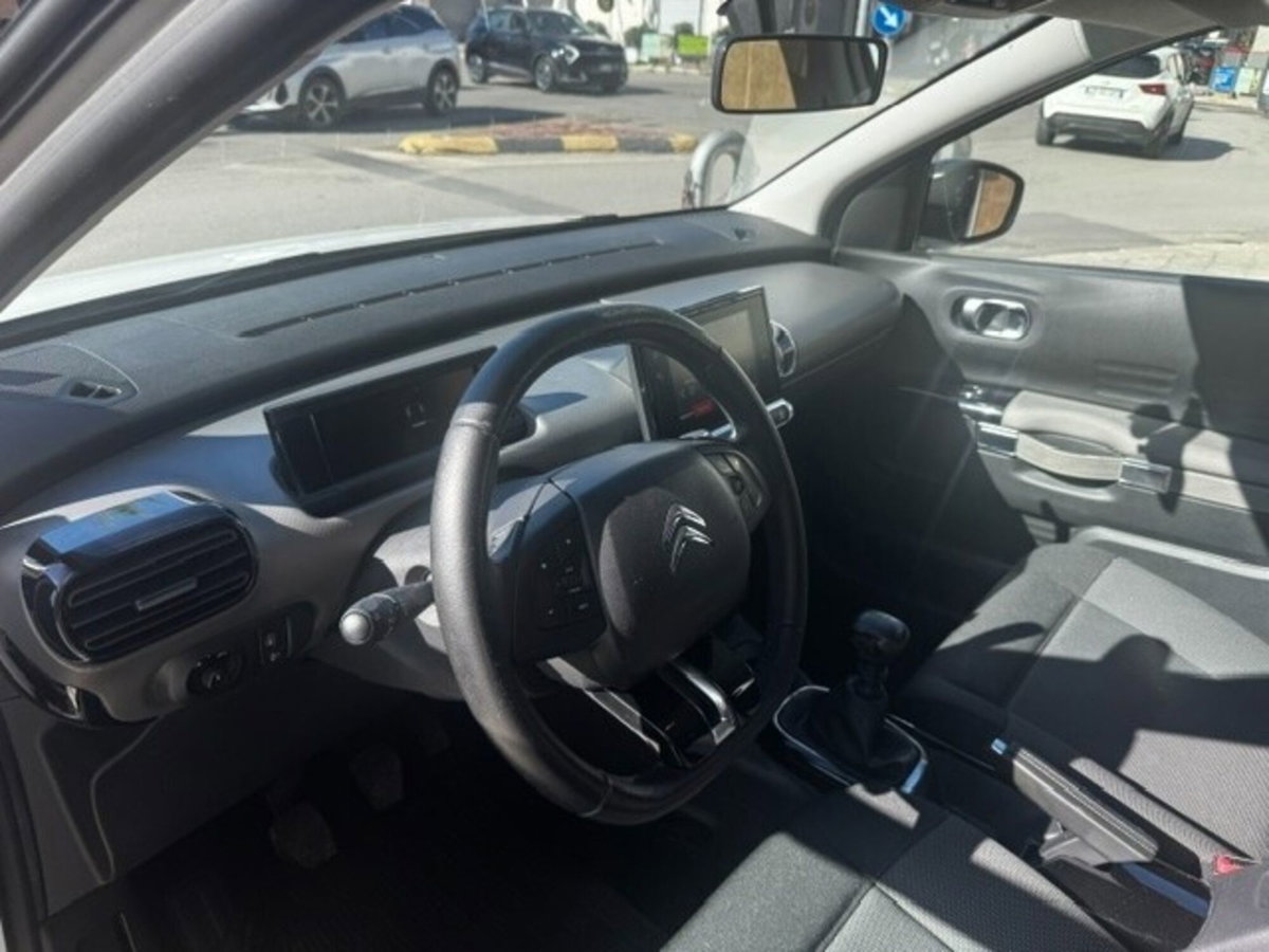 Citroen C4 Cactus BlueHDi 100 S&S Shine (9)