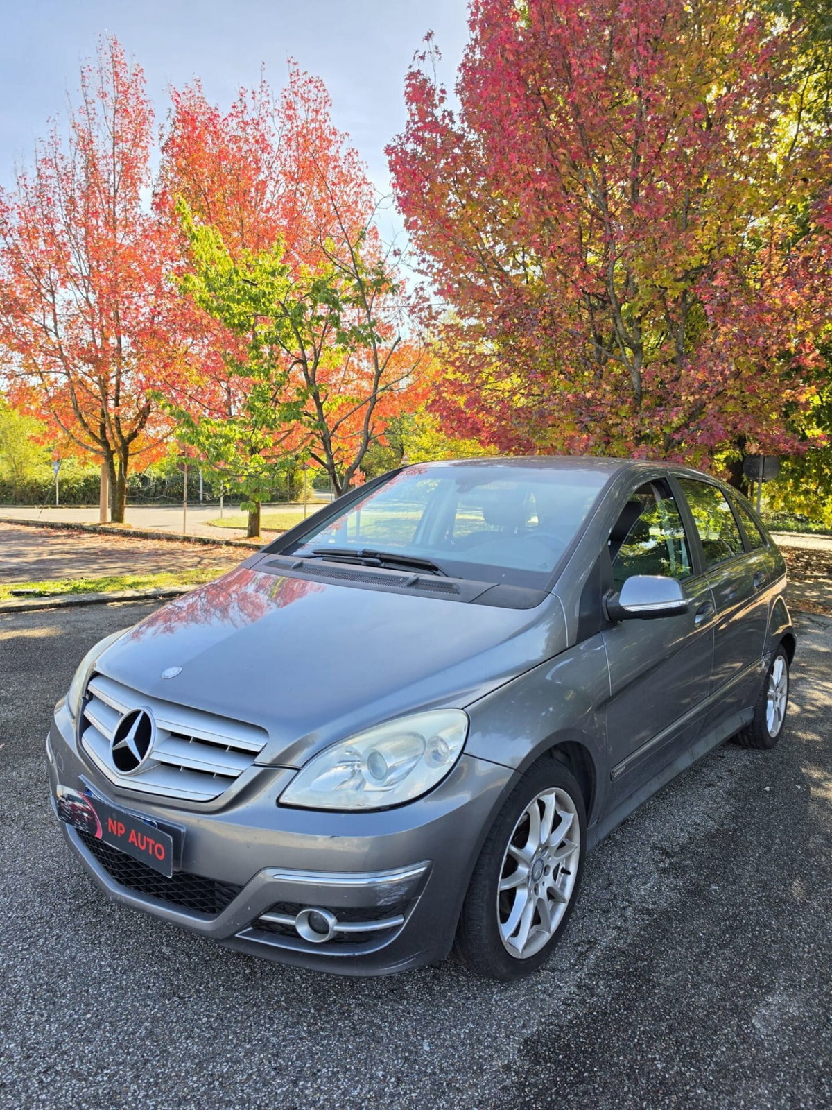 Mercedes-Benz Classe B 200 CDI Executive (2)