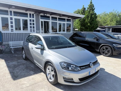 Volkswagen Golf 1.4 TGI DSG 5p. Highline BlueMotion (2)