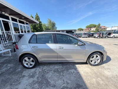 Volkswagen Golf 1.4 TGI DSG 5p. Highline BlueMotion (7)