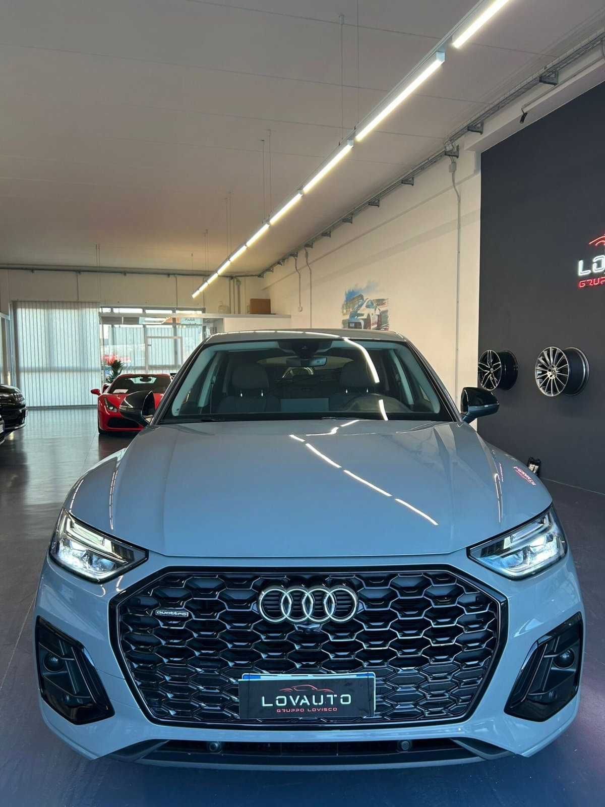 Audi Q5 40 TDI 204 CV quattro S tronic S line plus