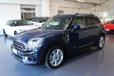 MINI Mini Countryman 2.0 Cooper S Hype Countryman ALL4 Automatica (3)
