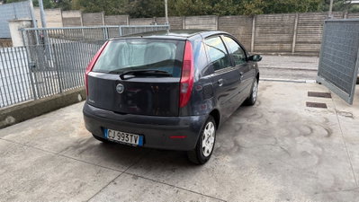 Fiat Punto 1.2 5 porte Dynamic (5)