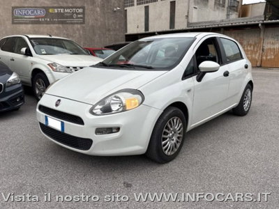 Fiat Punto 1.3 MJT II 75 CV 5 porte Street (3)