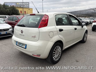 Fiat Punto 1.3 MJT II 75 CV 5 porte Street (4)