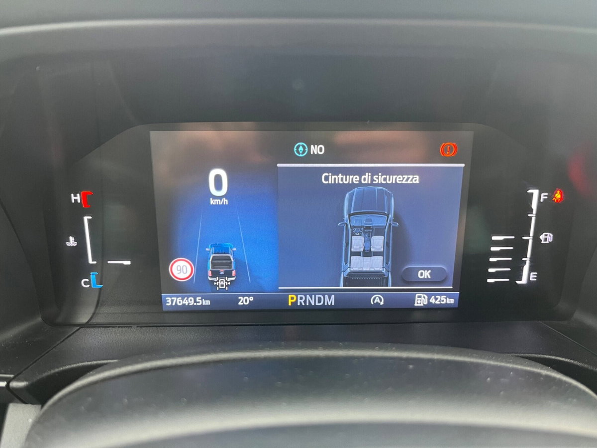 Ford Ranger Pick-up Ranger 2.0 ECOBLUE aut. DC Wildtrak 5 posti (12)