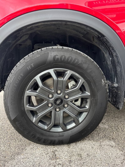 Ford Ranger Pick-up Ranger 2.0 ECOBLUE aut. DC Wildtrak 5 posti (14)
