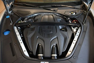 Porsche Panamera 2.9 4 Platinum Edition auto (14)