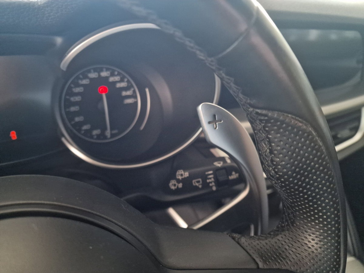 Alfa Romeo Stelvio Stelvio 2.2 Turbodiesel 190 CV AT8 Q4 Sprint (12)
