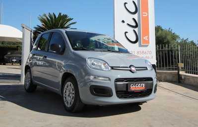 Fiat Panda 1.0 FireFly S&S Hybrid usata