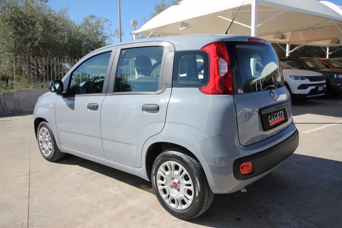 Fiat Panda 1.0 FireFly S&S Hybrid (4)
