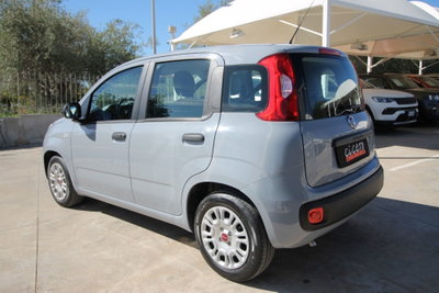 Fiat Panda 1.0 FireFly S&S Hybrid (4)